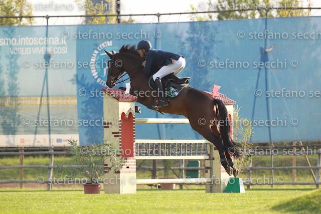 ROGIANI_ADELSCOT_GIO CAV 2011_SS3_7798.jpg